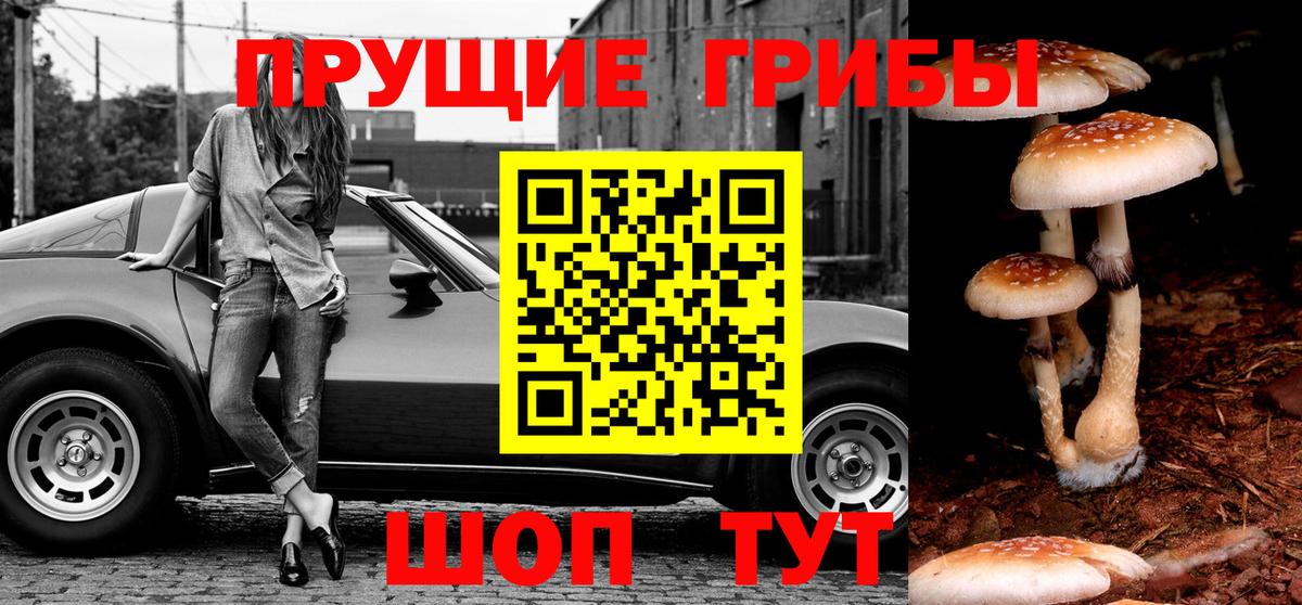 Псилоцибиновые грибы Cubensis Нижневартовск