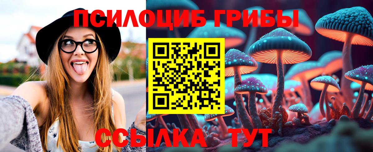 Нижневартовск  Псилоцибиновые грибы прущие грибы  Вход с VPN  Галлюциногенные грибы Cubensis 